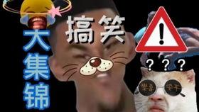 精选视频爆料大全免费,精选爆料大全免费放送