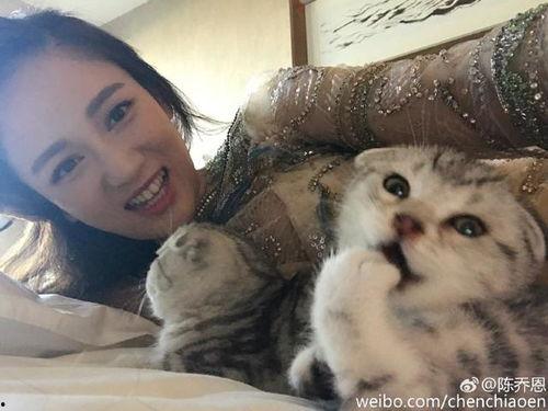娱乐圈爆料猫不理,猫不理背后的惊人真相！  第2张